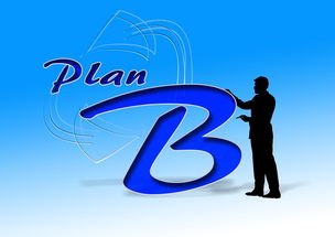 开云官网-中国篮球职业俱乐部财务风险控制研究,篮球俱乐部企业组织结构图 第1张 开云官网-中国篮球职业俱乐部财务风险控制研究,篮球俱乐部企业组织结构图 第1张