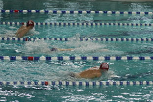 开云官网-亚洲游泳冠军赛孙杨携队友力夺接力金，中国游泳冠军孙扬