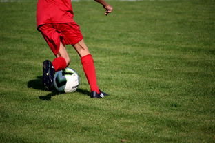 开云官网APP下载-国脚待遇结构调整引导更多球员留在国内发展，国家队国脚