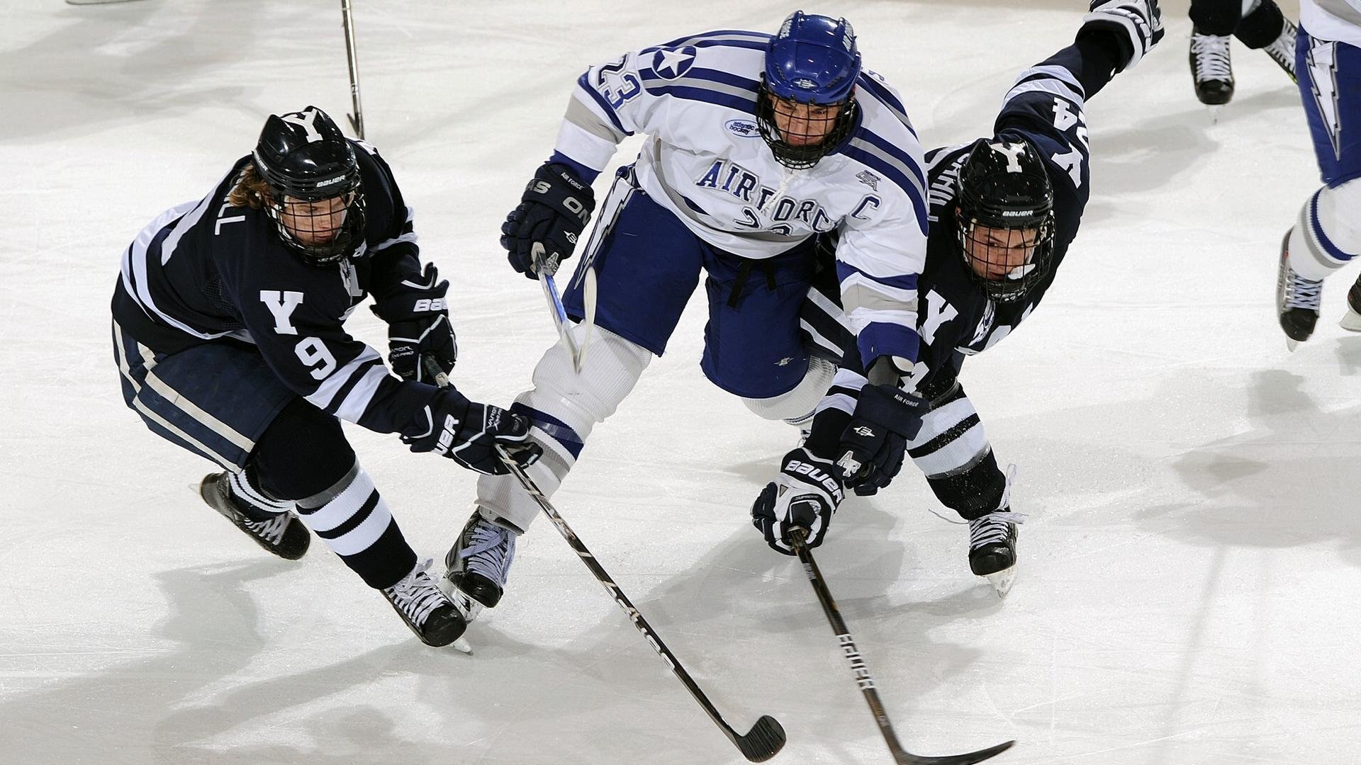 2026体育赛季热门比赛，6月体育赛事